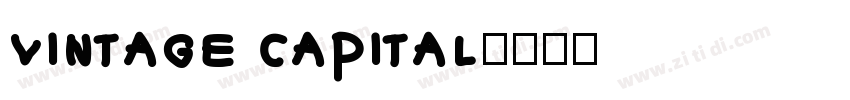 vintage capital字体转换
